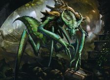 Kraul Raider