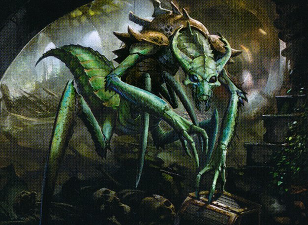 Kraul Raider
