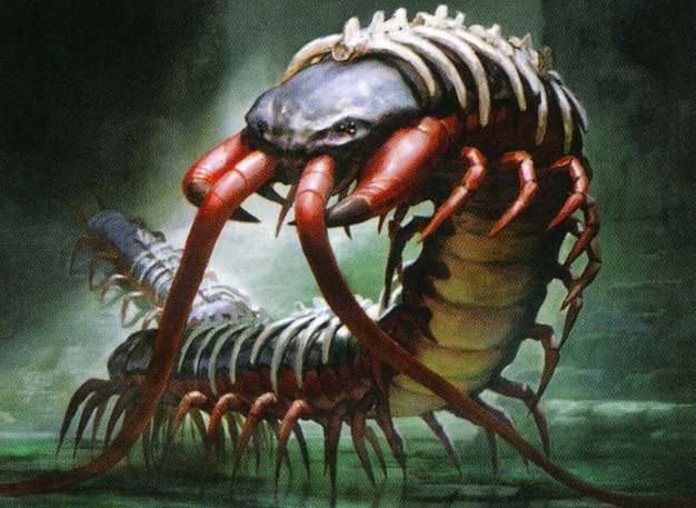 Spinal Centipede
