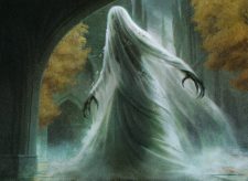 Veiled Shade
