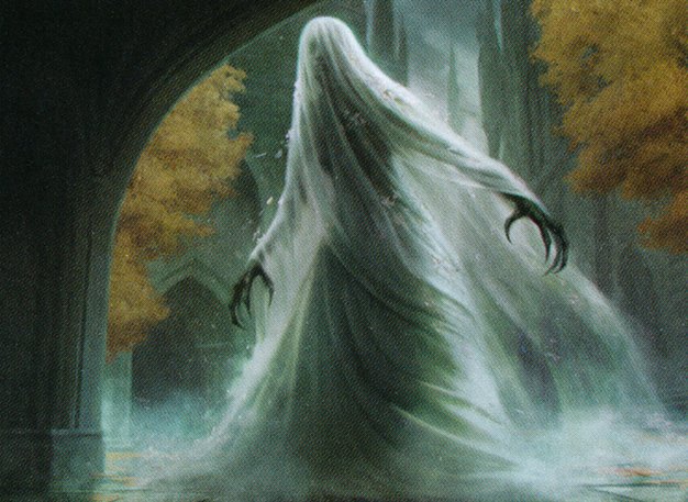 Veiled Shade