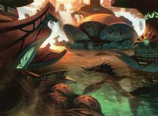 Breeding Pool