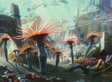 Clinging Anemones