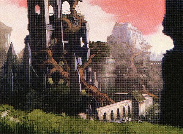 Stomping Ground