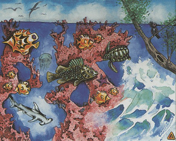 Coral Reef