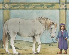 Dwarven Pony