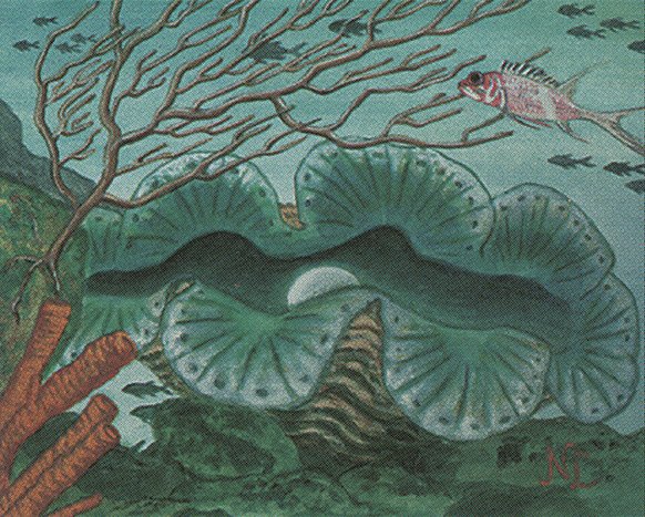 Giant Oyster