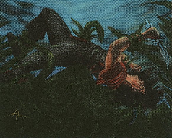 Wall of Kelp