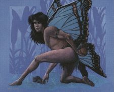Willow Faerie