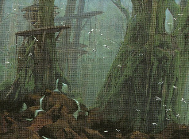 Forest