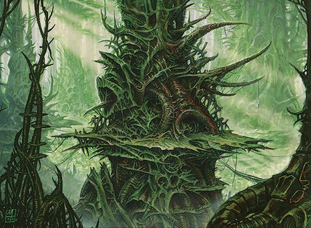 Forest