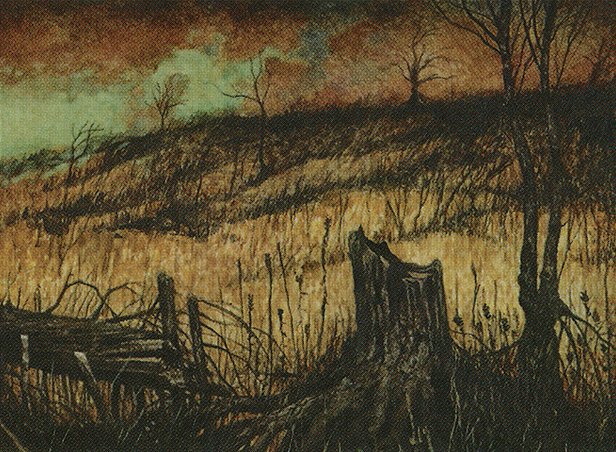 Plains