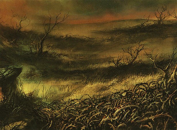 Plains