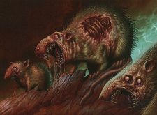 Rotting Rats