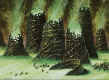 Swamp