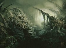 Swamp