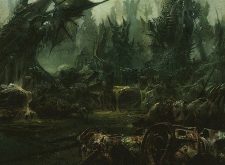 Swamp