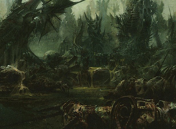 Swamp