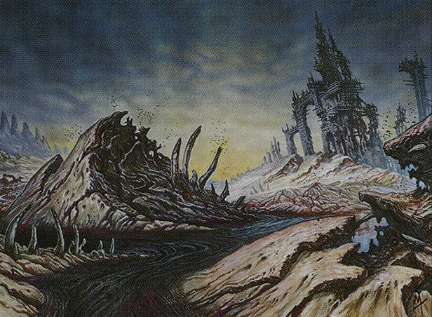 Swamp