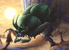 Quarry Beetle