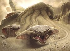 Ramunap Hydra