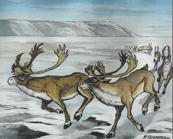Caribou Range