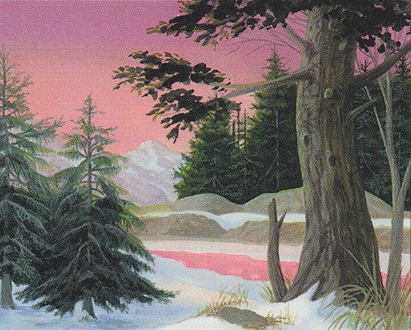Forest