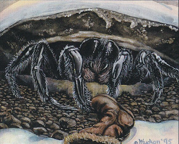 Giant Trap Door Spider