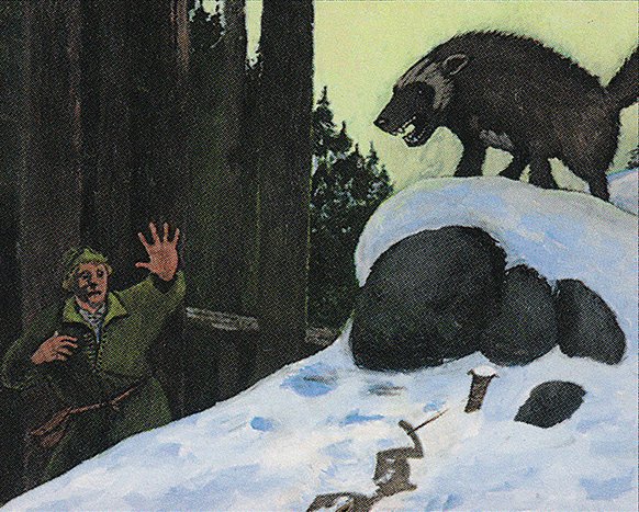 Grizzled Wolverine