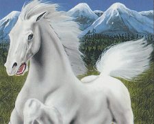 Hipparion