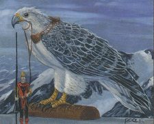 Kjeldoran Skycaptain