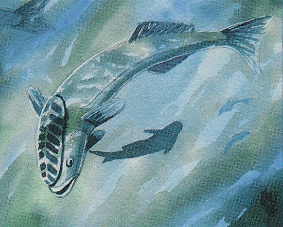 Mystic Remora