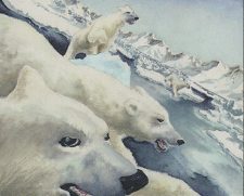 Pale Bears