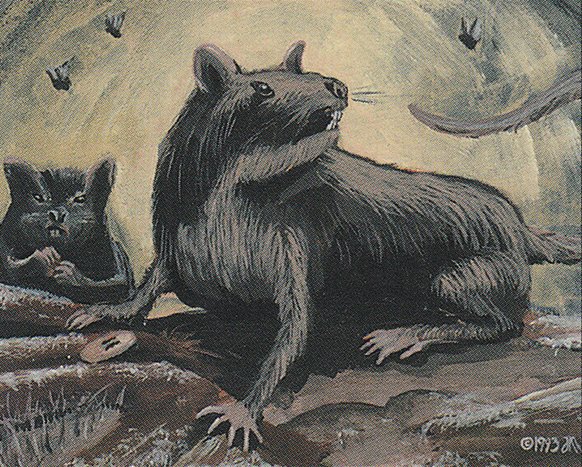 Pestilence Rats