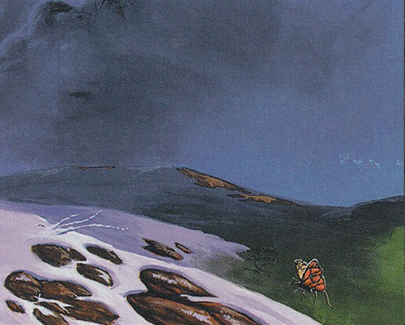Plains
