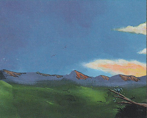 Plains
