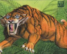 Sabretooth Tiger