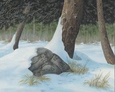 Snow-Covered Forest