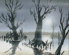 Snow-Covered Swamp