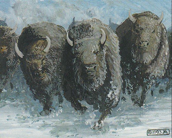 Stampede