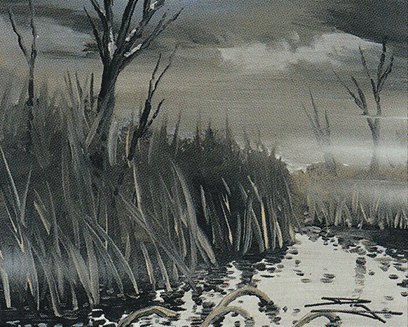 Swamp