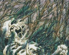 Wall of Pine Needles
