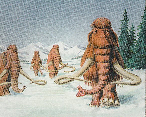 Woolly Mammoths
