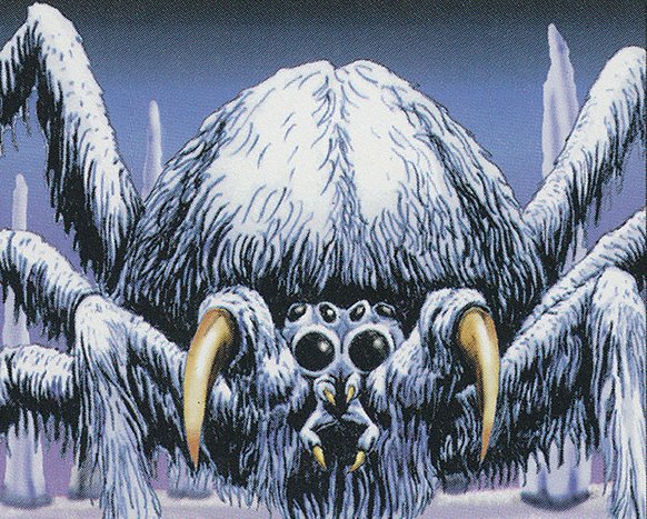 Woolly Spider