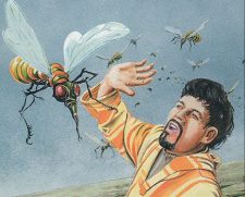 Yavimaya Gnats