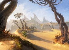 Blossoming Sands