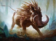 Bristling Boar