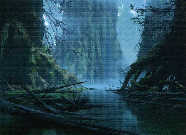 Dismal Backwater