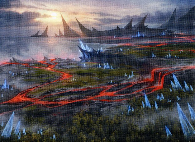 Evolving Wilds