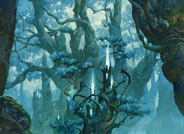 Forest
